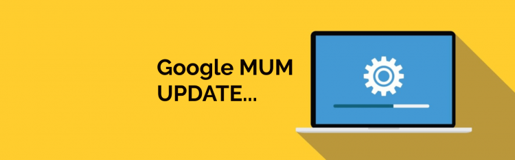 Everything About Google MUM1