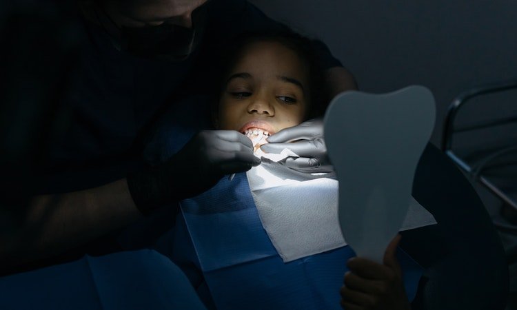 A Guide on How to Identify the Top Family Dentist
