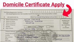 How To Apply For Domicile Certificate