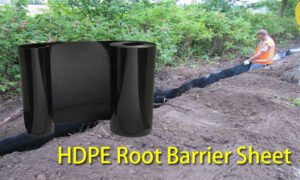 How HDPE Root Barriers Create Proper Environment for Trees and Structures?