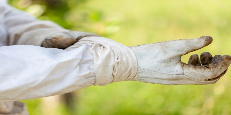Beekeeping Gloves: The Right Protection for Beekeepers
