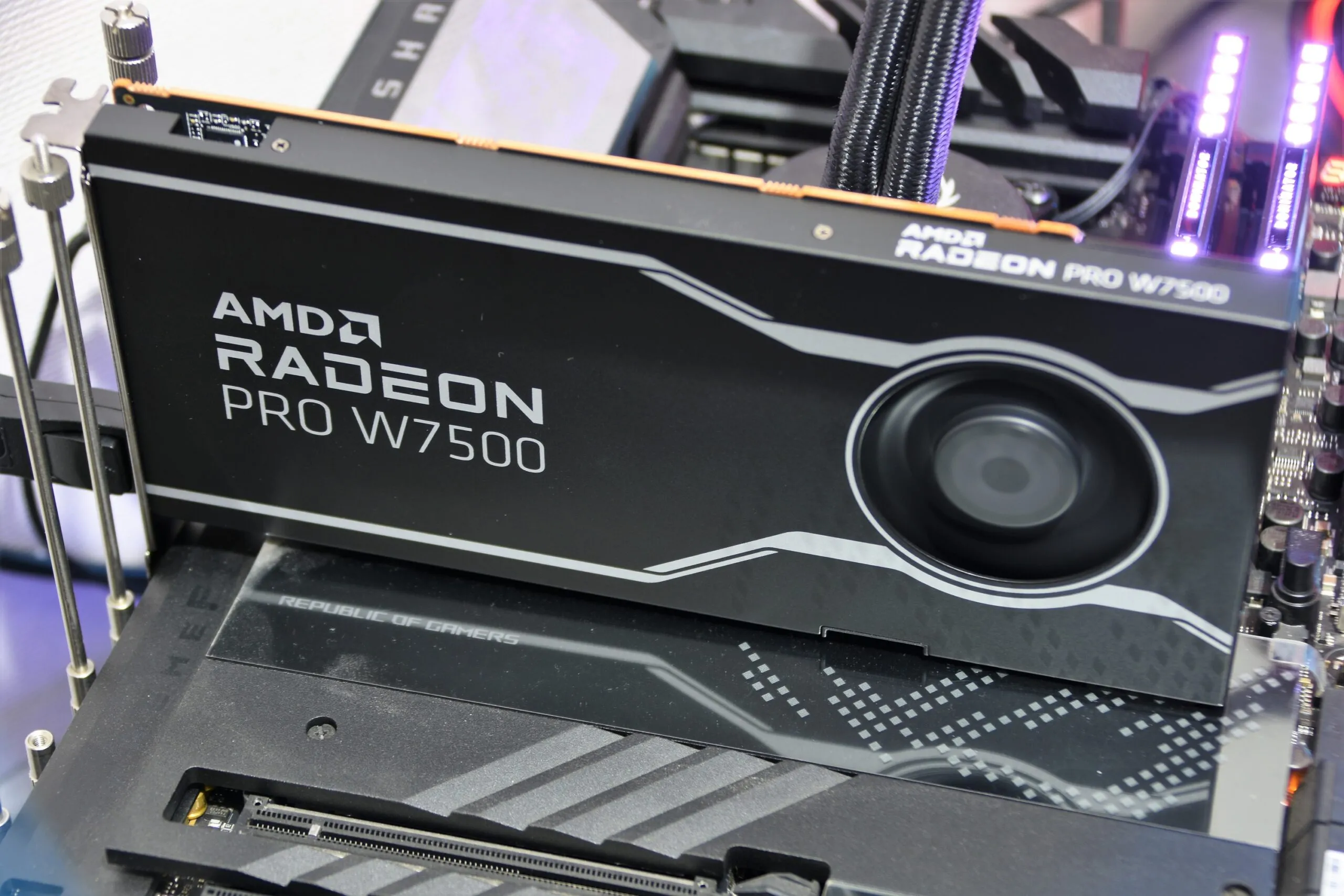 AMD RADEON PRO W7500 d